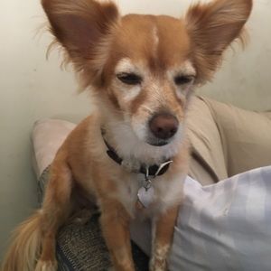 Meet your Posher, Penny